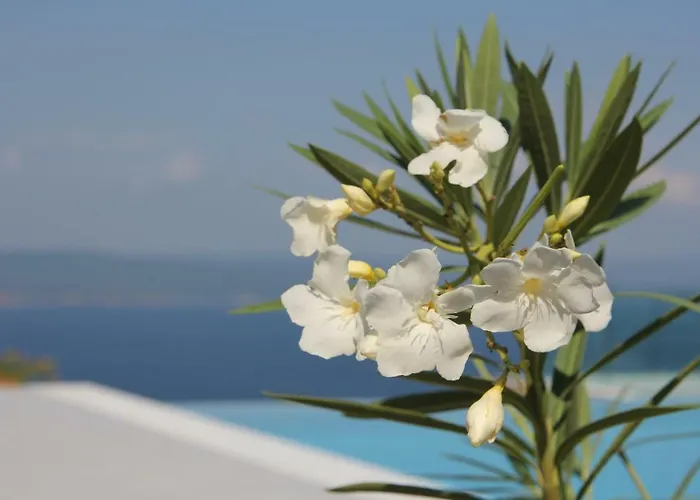 Salina Luxury Pool Villa Kechria