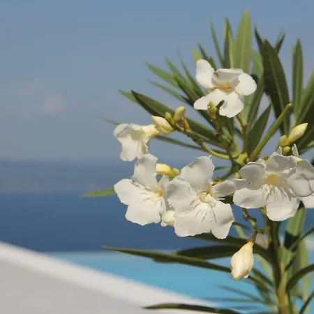 Salina Luxury Pool Villa Kechria